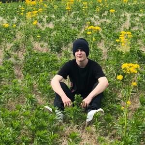 Meet your Posher, Timmy